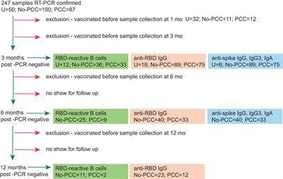 SARS-CoV-2 spike antigen-specific B cell and antibody responses in pre-vaccination period COVID-19 convalescent males and females with or without post-covid condition